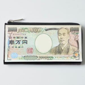 1万円札と比較したaioa L